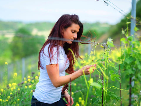 Piemont - Cascina Vengore