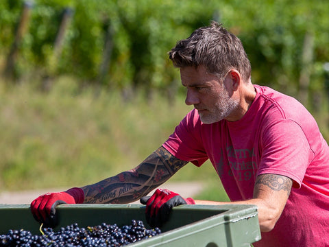 Baden - Weingut Enderle & Moll