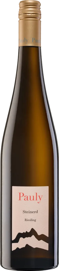 Weingut Axel Pauly - Riesling Steinerd feinherb 2022