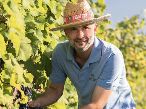 Weingut Matthias Hager und das Kamptal