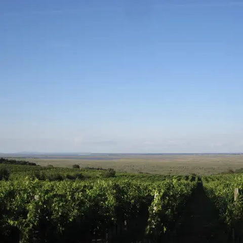 Burgenland