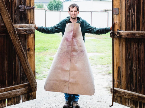 Burgenland - Weingut Rudi Wagentristl