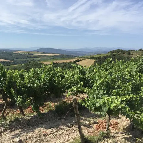 Languedoc
