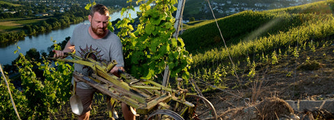 Winzerdinner im Kirchspiels Gasthaus mit 6-Gänge-Menü am Sa., 28. März