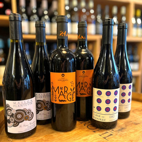 Wein & Wild - 6er-Rotweinpaket