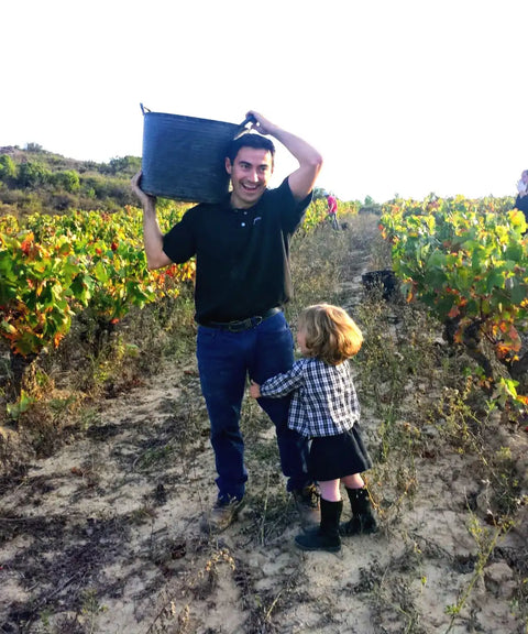 Rioja - Bodegas Berarte y Vinedos
