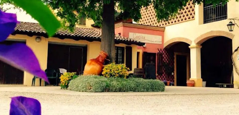Cantina Gozzi