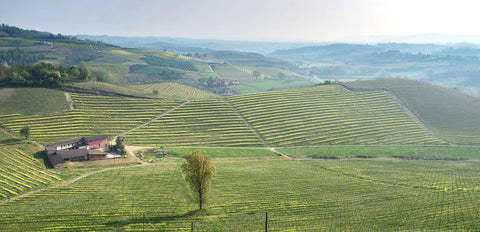 Cascina Vengore