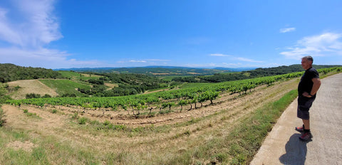 Domaine de la Coume-Lumet