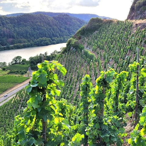 Mosel-Saar