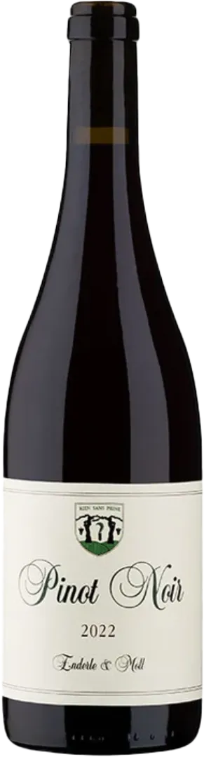 Weingut Enderle & Moll - Pinot Noir "Basis" 2022