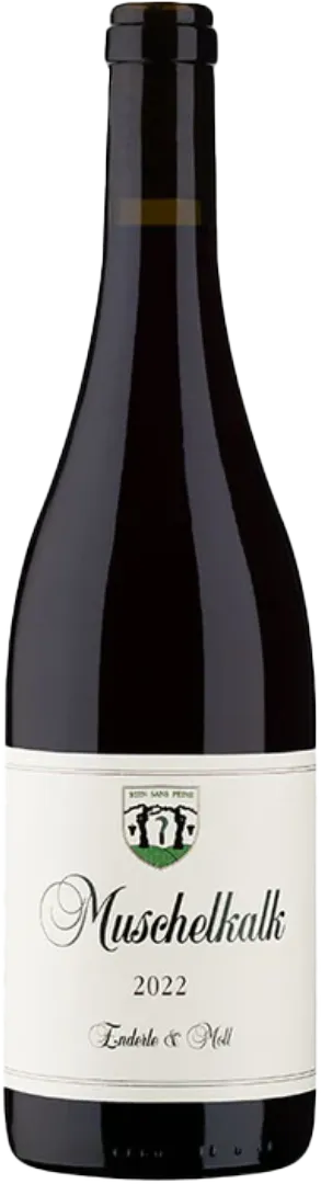 Weingut Enderle & Moll - Pinot Noir "Muschelkalk" 2022