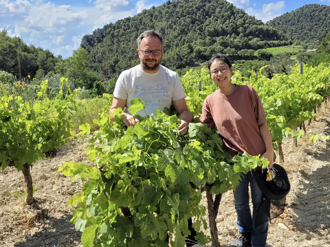 Südliche Rhone - Maison Plantevin