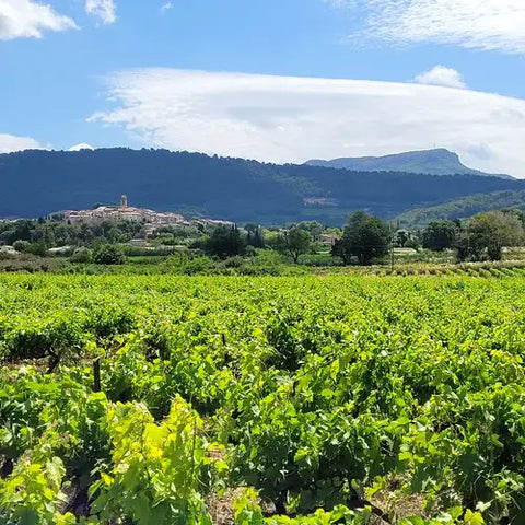 Rhone