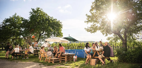 Grüner Veltliner & Co