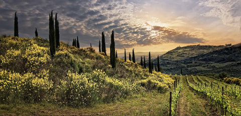 Best of Italien