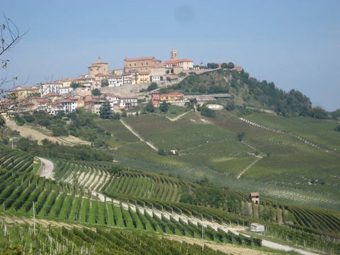 Barolo - der König der Weine 