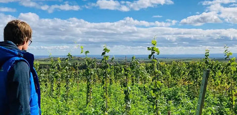 Weingut Leiner