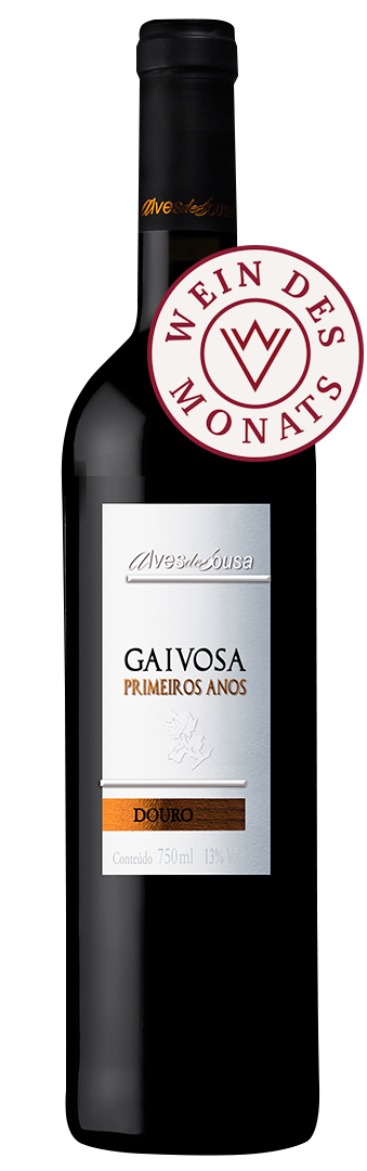 Alves de Sousa - Gaivosa Primeiros Anos 2022