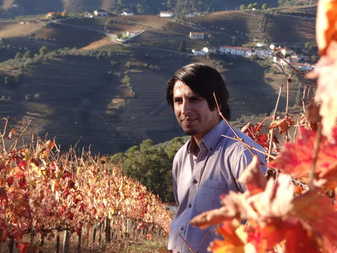 Douro - Alves de Sousa