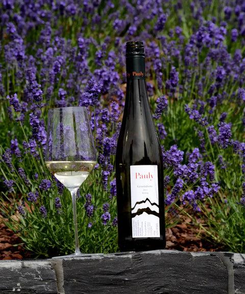 Sommerweine von der Mosel - Weingut Axel Pauly