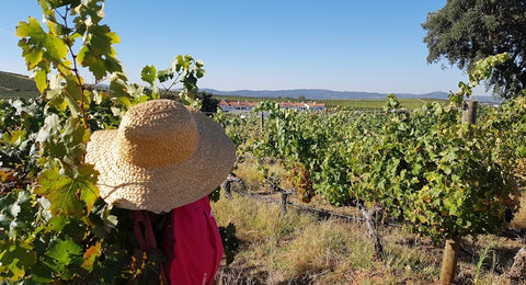 Quinta do Mouro