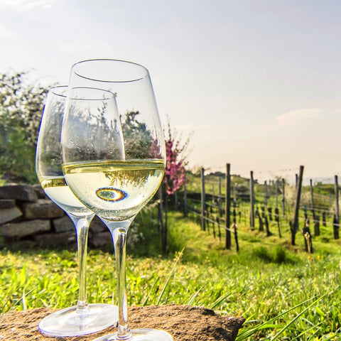 Wein- & Genussabend Österreich in der Weinbar "Fine & Wine"