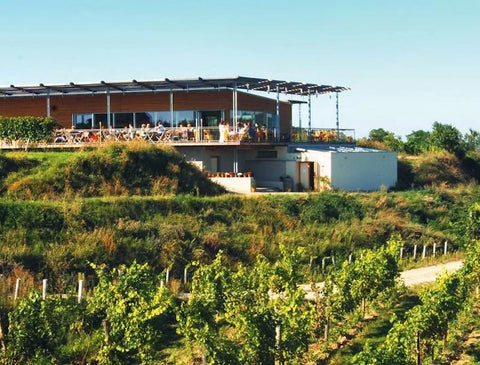 Weingut-Matthias-Hager-Kamptal-Heuriger-Weinbeisserei